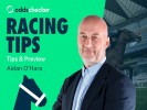 Breeders Cup 2026: Aidan O'Hara's Betting Tips for Saturday