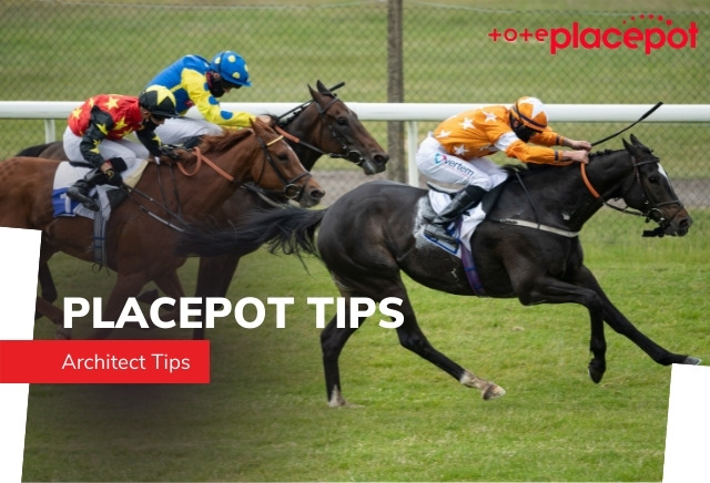 Today's Tote Placepot Tips for Ripon