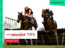 Today's Tote Placepot Tips for Wetherby