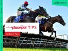 Today's Tote Placepot Tips for Wolverhampton from Architect