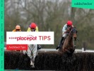 Thursday Tote Placepot Tips for Musselburgh from Architect