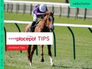 Thursday Tote Placepot Tips for Ayr from Architect