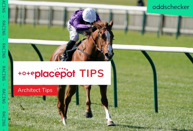 Monday Tote Placepot Tips for Newcastle from Architect