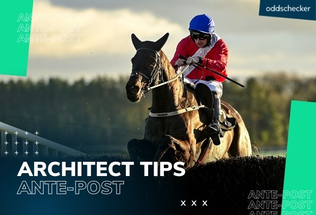 Racing Post Novice Chase Tips 2021: Ante-Post Preview