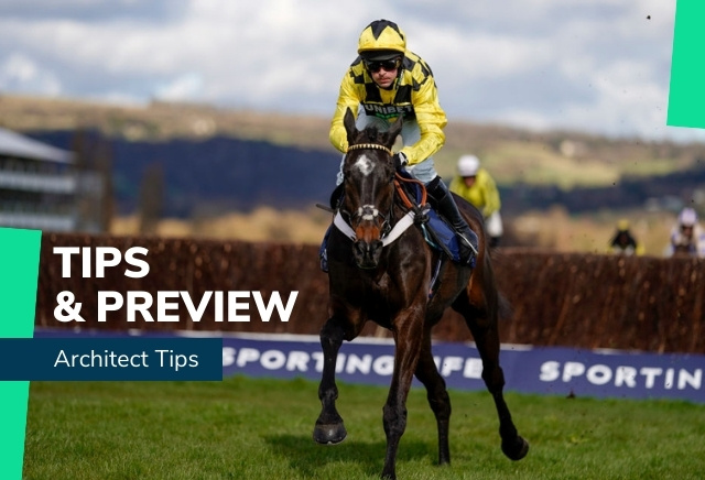 Tingle Creek Festival 2022: Sandown Betting Clues for the Cheltenham Festival