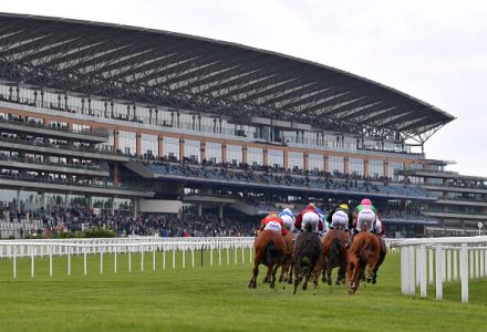 Which horse should you back at Ascot based on your football team?