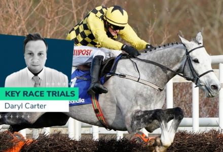 Ballymore Novies' Hurdle: The key race trials