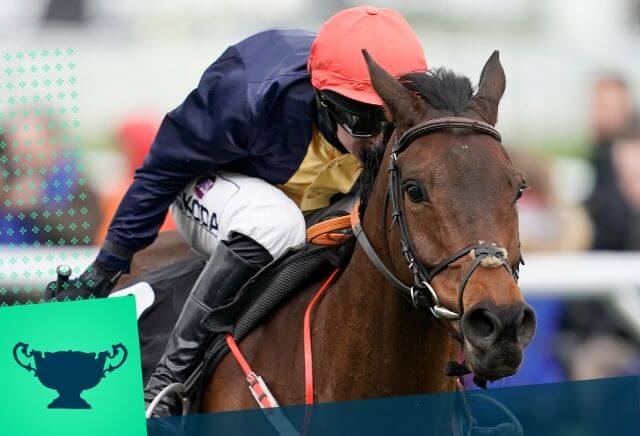 Cheltenham Festival: Ballymore Novices' Hurdle Previous Winners