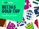 Bet365 Gold Cup 2024 Tips, Runners Guide & Predictions for Sandown