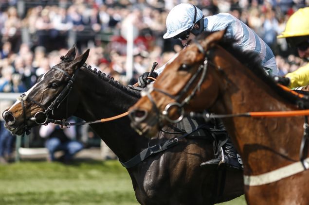 Black Op slashed in Cheltenham chase markets following impressive season debut