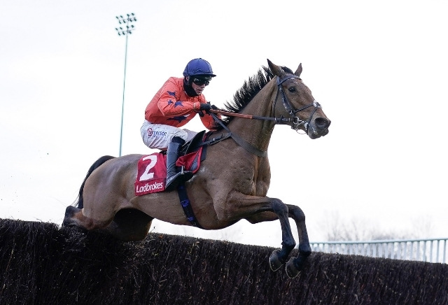 Aintree Mildmay Novices' Chase Tips, Trends & Runners