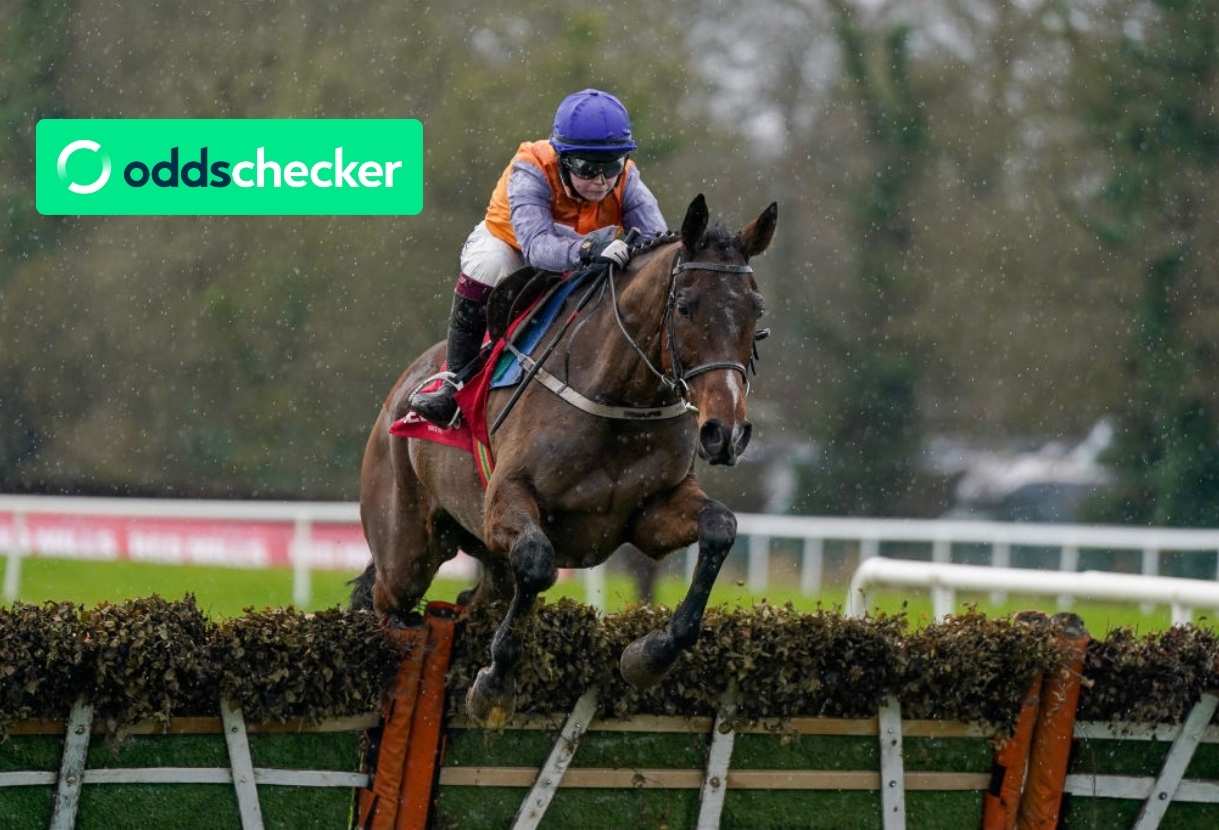 Race-by-Race Betting Tips for Gowran Park & Thyestes Chase