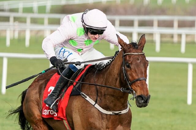 The best Punchestown free bets & bookie offers