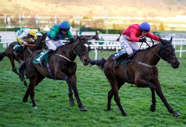 Andy Holding's 20 Bumper Horses to Follow