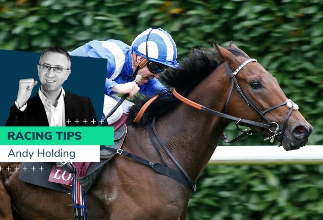 Andy Holding's Wednesday French Racing Tips