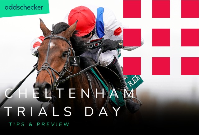 Cheltenham Trials Day Tips from Architect