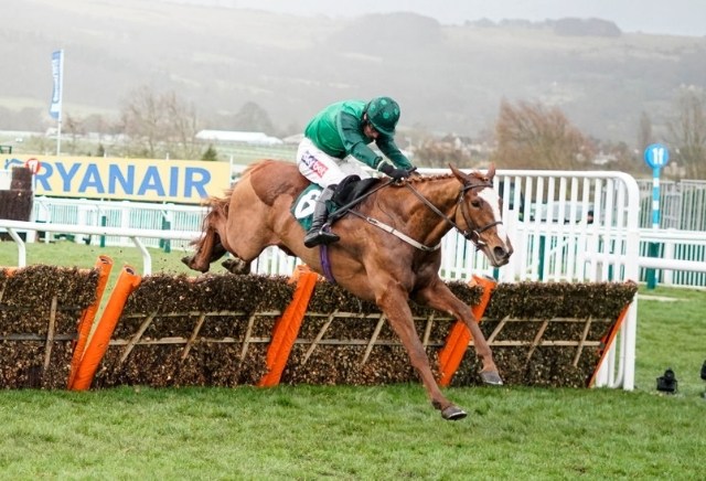 Cheltenham Mares' Hurdle 2021: Tips, Runners & Prediction