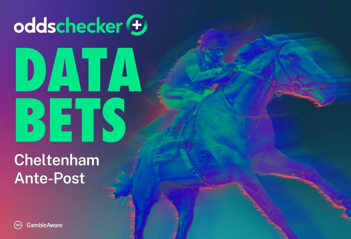 Cheltenham Festival Day 2: Most Popular Bets on Oddschecker