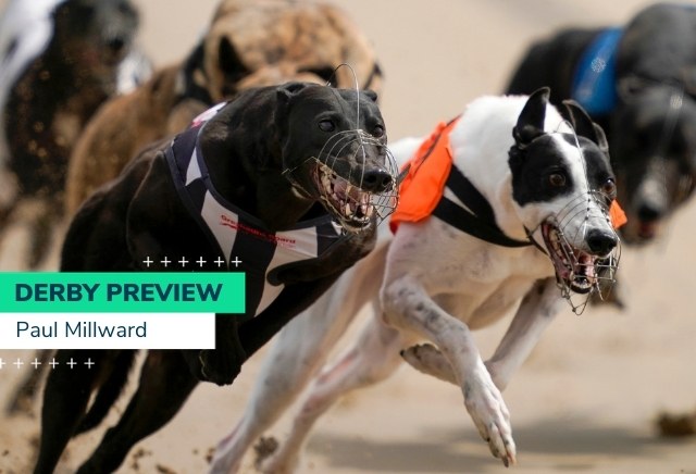 English Greyhound Derby 2020 Betting Tips & Preview
