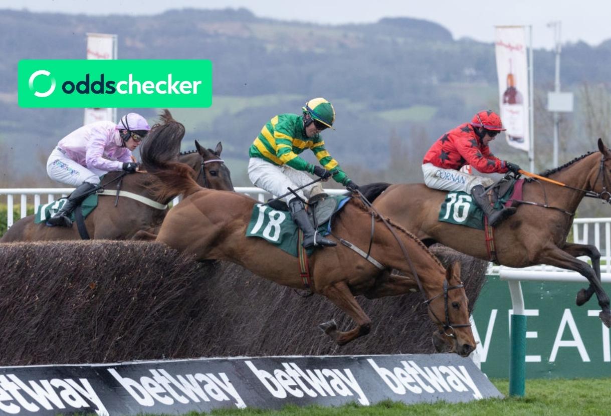 Mares Chase Betting Trends, Winners, Race Prediction & Tips