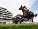 Epsom Derby: Tips & Betting Preview
