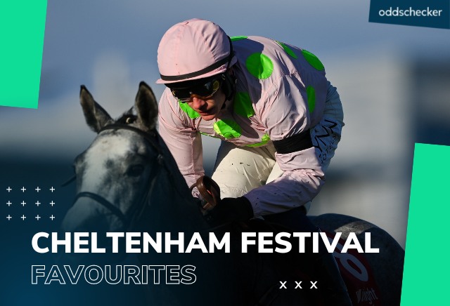 Boom or Bust: A closer look at 10 of the Cheltenham Festival favourites