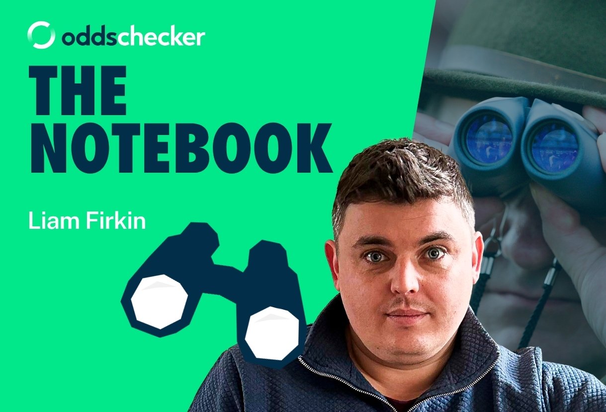 Liam Firkin's National Hunt 2026/27 Notebook: Emid’io Pepe