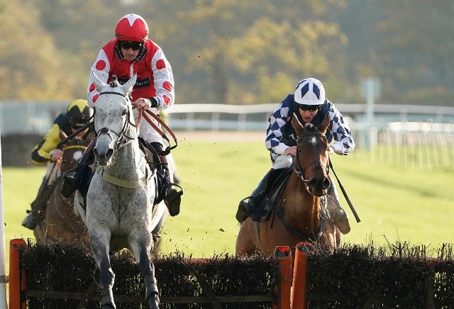 Money Horse: Thursday's Most Backed Horse