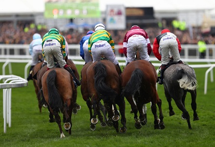 Notebook cut from 4/1 into as short as 5/2 as Arkle Chase favourite wins at Leopardstown