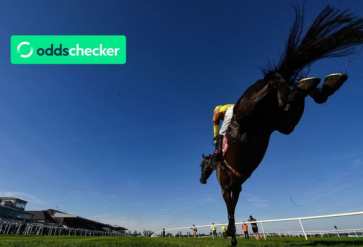 Andy Holding's Cheltenham Gold Cup Review: DRF Reaction