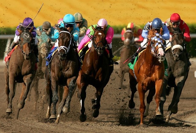 sunday s money horse through oddschecker