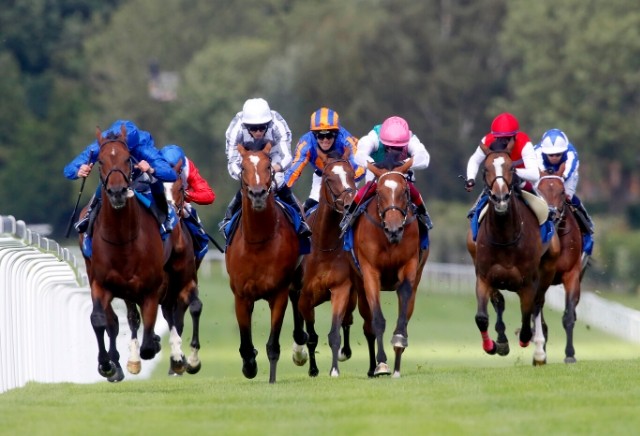 Money Horse: Thursday's Most Backed Horse