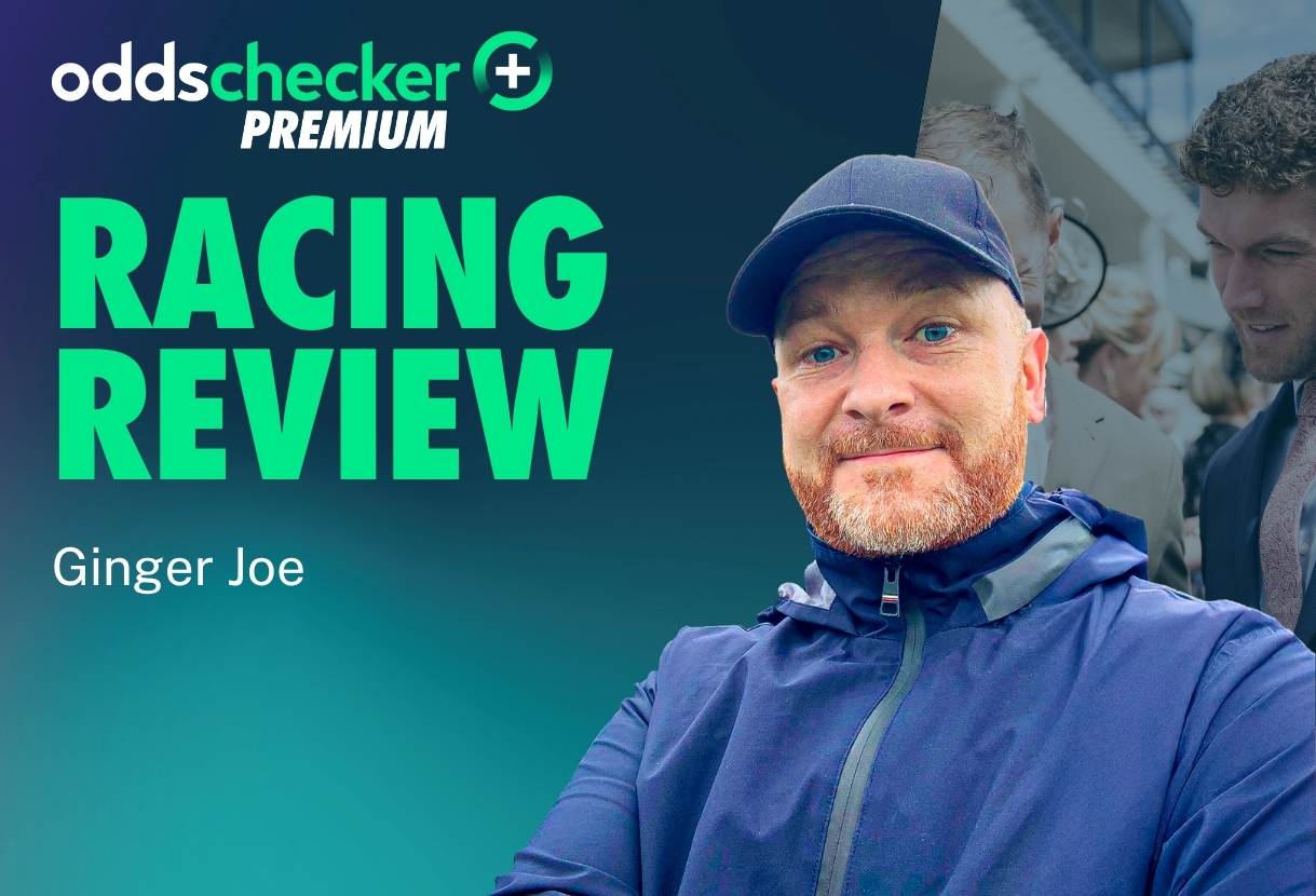 Is Mydaddpaddy a Justified Supreme Novices' Hurdle Favourite?
