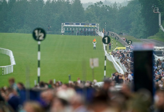 Goodwood Festival 2022: Andy Holding's 20/1 Ante-Post Lennox Stakes Tip