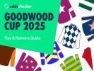 Goodwood Tips: Confirmed runners, riders & latest odds for the Goodwood Cup