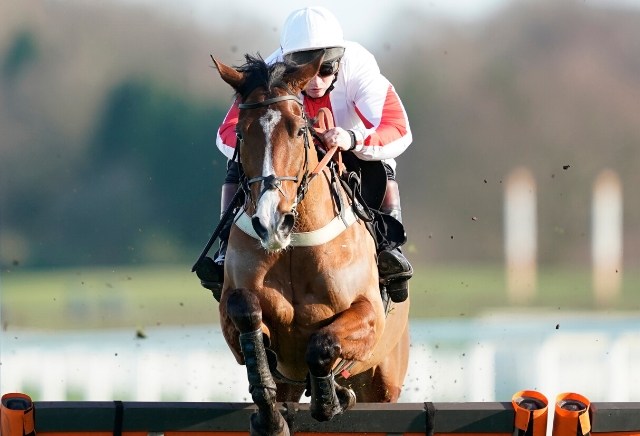 Money Horse: Saturday's Most Backed Horse