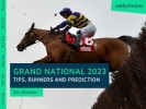 Grand National 2023 Tips, Runners, Riders & Prediction