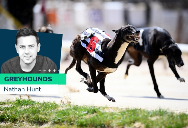 Nathan Hunt: A big final this weekend and Greyhound Derby hope