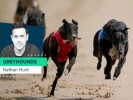 Nathan Hunt's English Greyhound Derby 2020 Final Tips