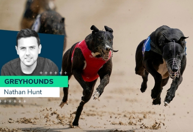 Nathan Hunt: A Day in the Life of a Greyhound Trainer
