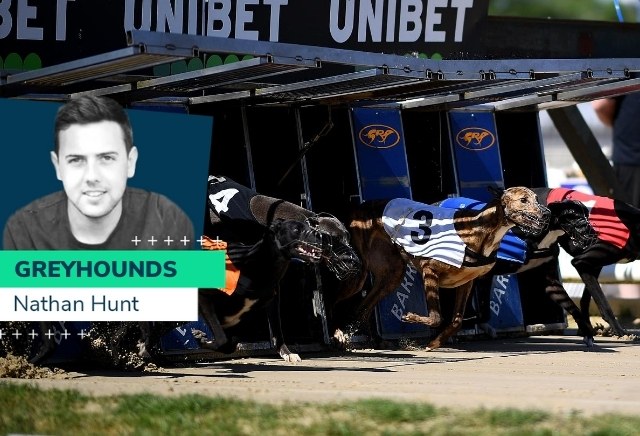 Nathan Hunt greyhounds: Disappointment in Puppy Cup but chances this weekend