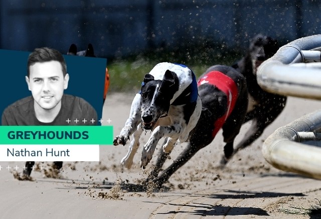 Nathan Hunt: Greyhounds to watch this weekend