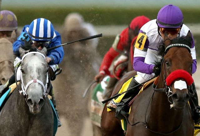 thursday us racing tips gulfstream park oddschecker