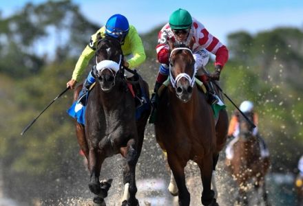 Wednesday US Racing Tips: Tampa Bay Downs