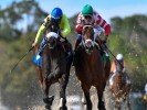 Wednesday US Racing Tips: Tampa Bay Downs