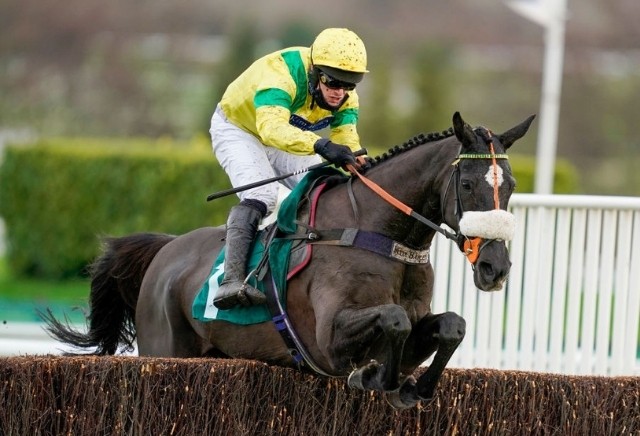 The 5 most backed horses at the Cheltenham Festival 2021