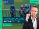 1000 Guineas 2023: Andy Holding's Ante-Post Tip for Newmarket