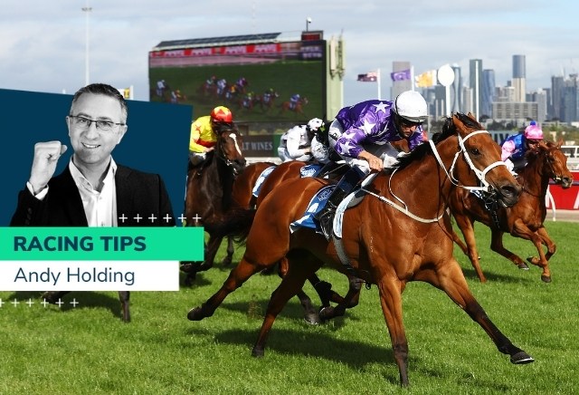 Andy Holding's Melbourne Cup Tips & Betting Preview
