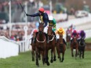 Andy Holding's National Hunt Horses to Follow 2019-20 