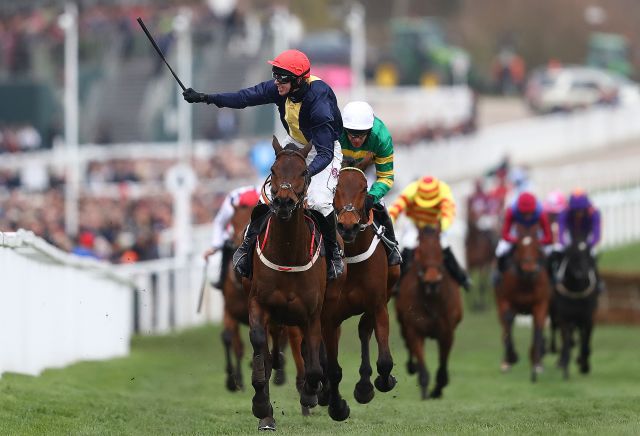 Andy Holding's National Hunt Horses to Follow 2019-20